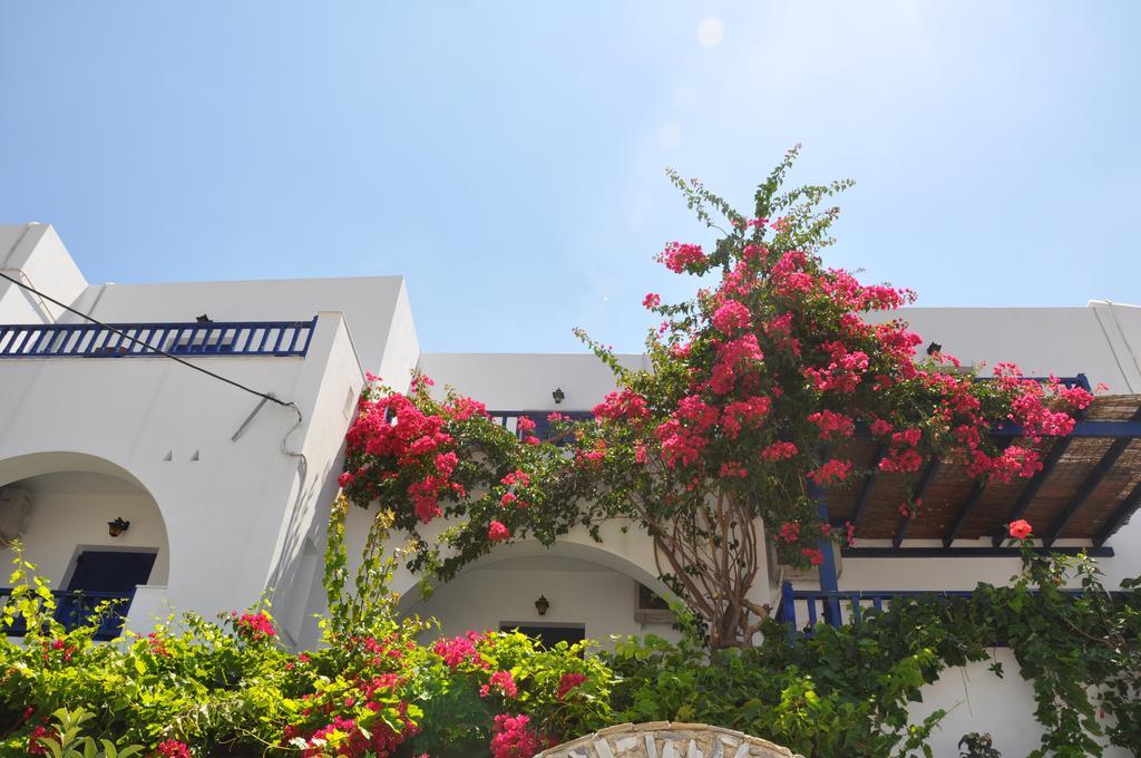 Nostos Studios Aegiali Oda fotoğraf